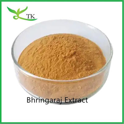 100% प्राकृतिक बालों की देखभाल Bhringaraj Leaf Extract Eclipta Alba Extract पाउडर बालों का राजा