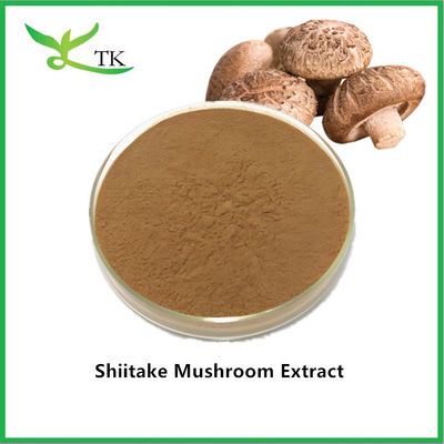 थोक प्राकृतिक मशरूम पूरक निकालने पाउडर Shiitake मशरूम निकालने की कीमत