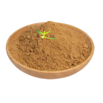 बालों की देखभाल के लिए प्राकृतिक पौधे के अर्क Platycladus Orientalis Leaf Extract Powder