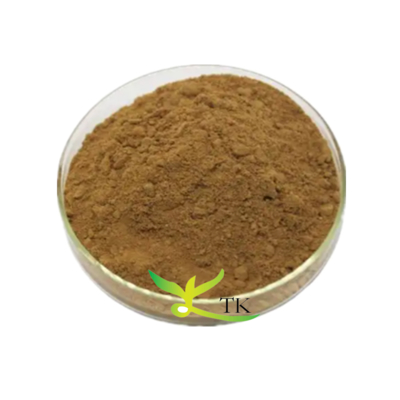 थोक मूल्य निः शुल्क नमूना हरी चाय सैपोनिन अर्क कैमेलिया सिनेंसिस अर्क चाय सैपोनिन थोक