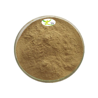 100% प्राकृतिक साल्वाडोर पर्सीका निकालने पाउडर Miswak निकालने 4:1 10:1