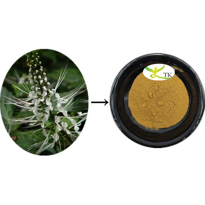 प्राकृतिक ऑर्थोसिफोन एरिस्टैटस अर्क ऑर्थोसिफोन लीफ अर्क पाउडर क्लीनिंग कैल्कुली