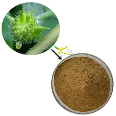 थोक मूल्य उच्च गुणवत्ता Tribulus Terrestris निकालने पाउडर Tribulus Terrestris कैप्सूल