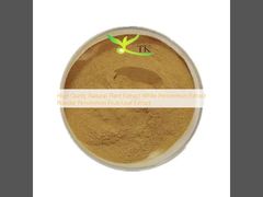 उच्च गुणवत्ता वाला प्राकृतिक पौधा अर्क सफेद जामुन का अर्क पाउडर जामुन फल/पत्ती का अर्क